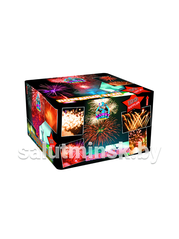 ПОБЕДНЫЙ ЗАЛП